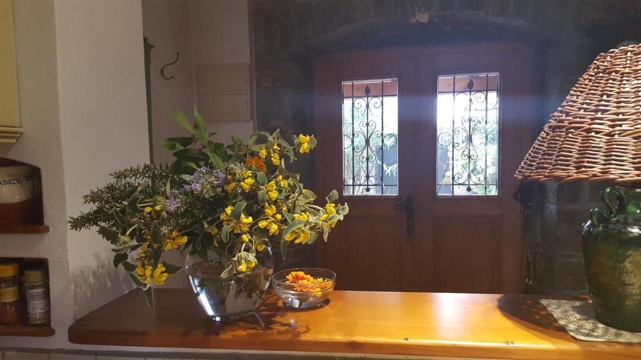 הוילה Sečovlje Istrian Stone House מראה חיצוני תמונה