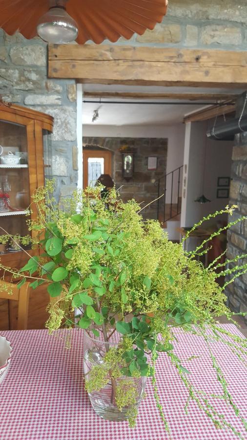 הוילה Sečovlje Istrian Stone House מראה חיצוני תמונה