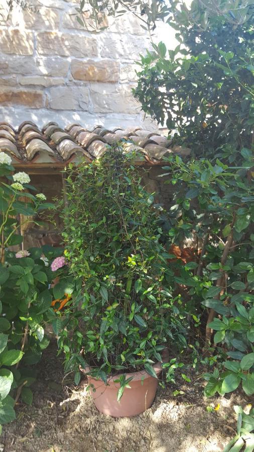 הוילה Sečovlje Istrian Stone House מראה חיצוני תמונה