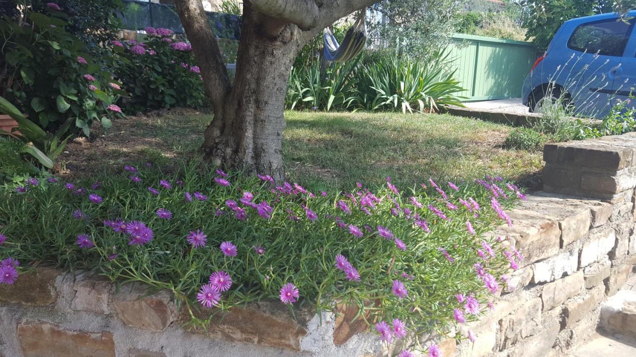 הוילה Sečovlje Istrian Stone House מראה חיצוני תמונה